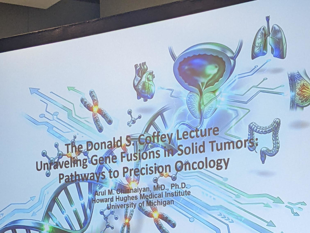 Presentation Screen